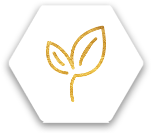 Plant icon